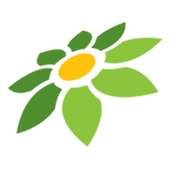 LINK DEWAHOKI88